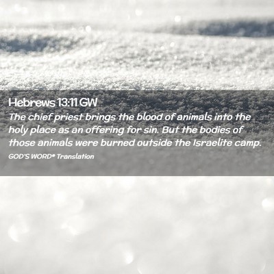 Picture 02 - Hebrews 13:11 GW - The chief priest brings the blood of animals into - Bible Verse Picture