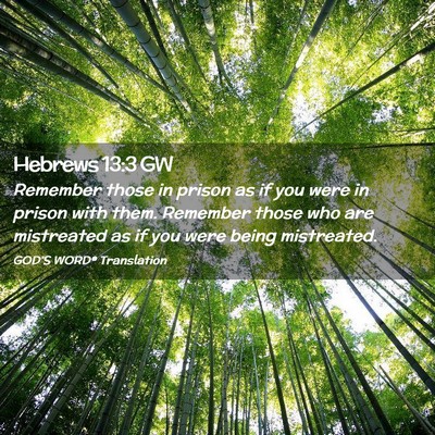 Picture 02 - Hebrews 13:3 GW - Remember those in prison as if you were in prison - Bible Verse Picture
