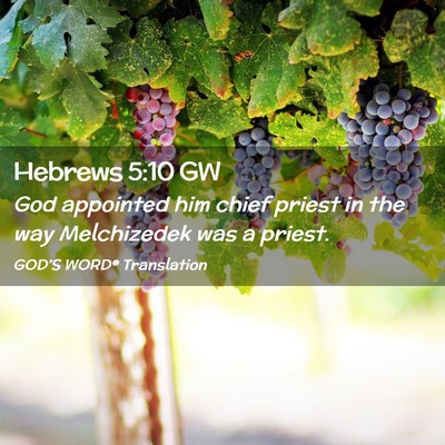 Picture 02 - Hebrews 5:10 GW - God appointed him chief priest in the way - Bible Verse Picture