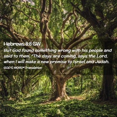 Picture 02 - Hebrews 8:8 GW - But God found something wrong with his people and - Bible Verse Picture