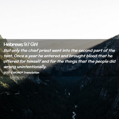 Picture 02 - Hebrews 9:7 GW - But only the chief priest went into the second - Bible Verse Picture