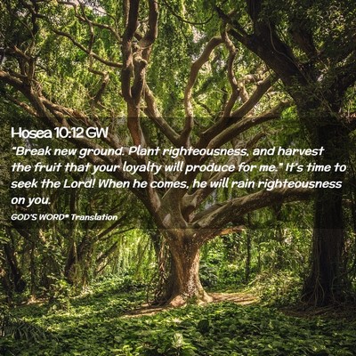 Picture 02 - Hosea 10:12 GW - “Break new ground. Plant righteousness, and - Bible Verse Picture