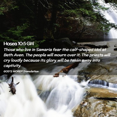 Picture 02 - Hosea 10:5 GW - Those who live in Samaria fear the calf-shaped - Bible Verse Picture
