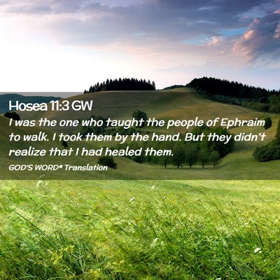 Picture 02 - Hosea 11:3 GW - I was the one who taught the people of Ephraim to - Bible Verse Picture
