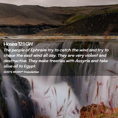 Picture 02 - Hosea 12:1 GW - The people of Ephraim try to catch the wind and - Bible Verse Picture