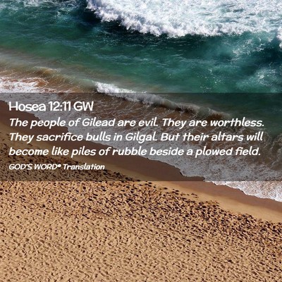 Picture 02 - Hosea 12:11 GW - The people of Gilead are evil. They are - Bible Verse Picture