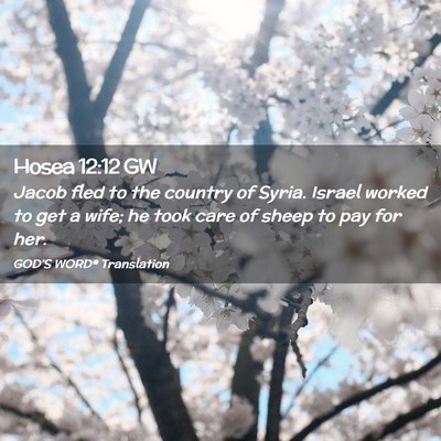 Picture 02 - Hosea 12:12 GW - Jacob fled to the country of Syria. Israel worked - Bible Verse Picture