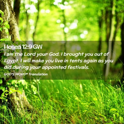 Picture 02 - Hosea 12:9 GW - I am the Lord your God. I brought you out of - Bible Verse Picture