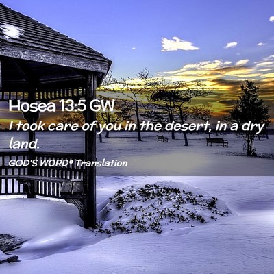 Picture 02 - Hosea 13:5 GW - I took care of you in the desert, in a dry - Bible Verse Picture