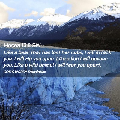 Picture 02 - Hosea 13:8 GW - Like a bear that has lost her cubs, I will attack - Bible Verse Picture