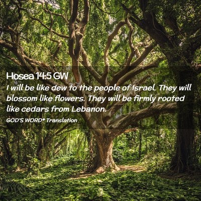 Picture 02 - Hosea 14:5 GW - I will be like dew to the people of Israel. They - Bible Verse Picture