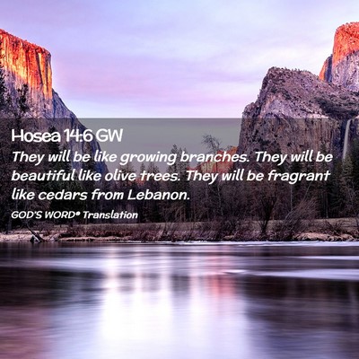 Picture 02 - Hosea 14:6 GW - They will be like growing branches. They will be - Bible Verse Picture
