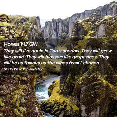 Picture 02 - Hosea 14:7 GW - They will live again in God’s shadow. They will - Bible Verse Picture