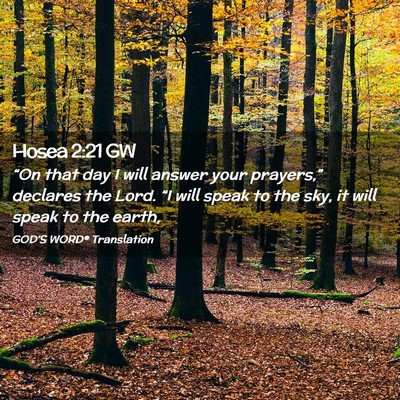 Picture 02 - Hosea 2:21 GW - “On that day I will answer your prayers,” - Bible Verse Picture