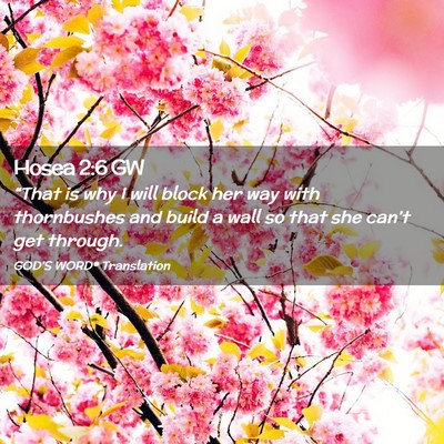 Picture 02 - Hosea 2:6 GW - “That is why I will block her way with - Bible Verse Picture