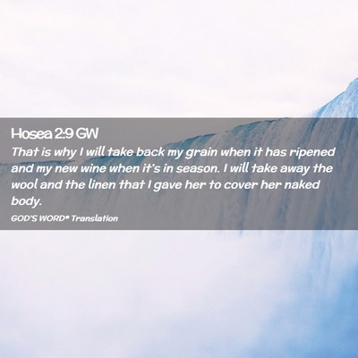 Picture 02 - Hosea 2:9 GW - That is why I will take back my grain when it has - Bible Verse Picture