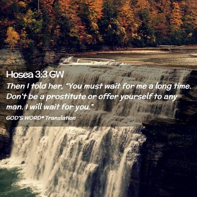 Picture 02 - Hosea 3:3 GW - Then I told her, “You must wait for me a long - Bible Verse Picture