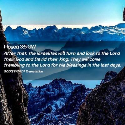 Picture 02 - Hosea 3:5 GW - After that, the Israelites will turn and look to - Bible Verse Picture