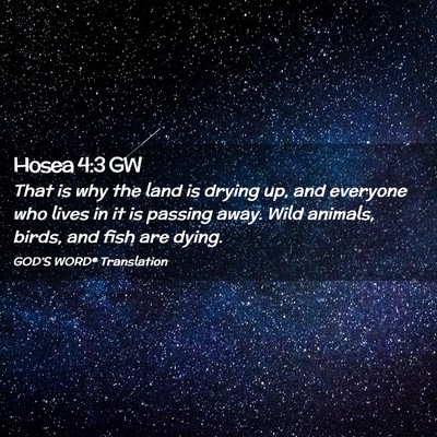 Picture 02 - Hosea 4:3 GW - That is why the land is drying up, and everyone - Bible Verse Picture