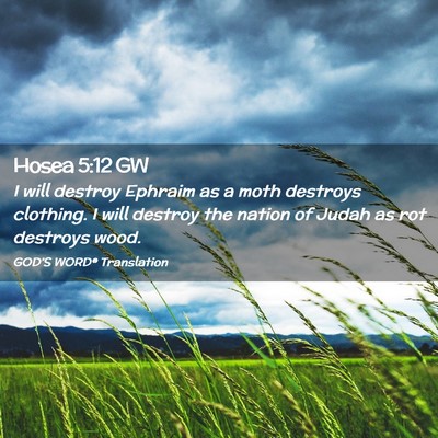 Picture 02 - Hosea 5:12 GW - I will destroy Ephraim as a moth destroys - Bible Verse Picture