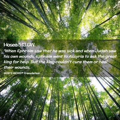 Picture 02 - Hosea 5:13 GW - “When Ephraim saw that he was sick and when - Bible Verse Picture