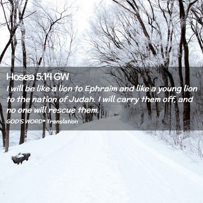 Picture 02 - Hosea 5:14 GW - I will be like a lion to Ephraim and like a young - Bible Verse Picture
