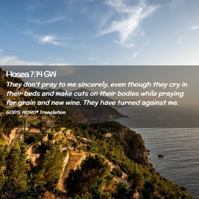 Picture 02 - Hosea 7:14 GW - They don’t pray to me sincerely, even though - Bible Verse Picture