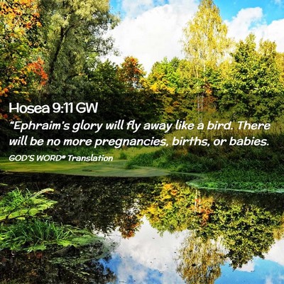 Picture 02 - Hosea 9:11 GW - “Ephraim’s glory will fly away like a bird. - Bible Verse Picture