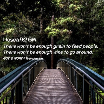 Picture 02 - Hosea 9:2 GW - There won’t be enough grain to feed people. - Bible Verse Picture