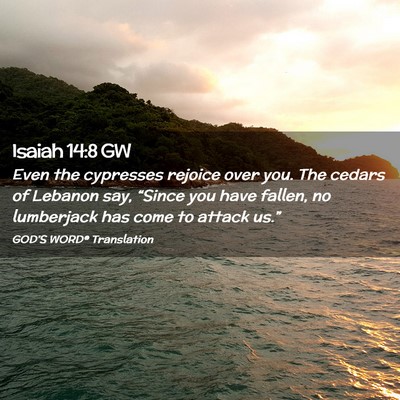 Picture 02 - Isaiah 14:8 GW - Even the cypresses rejoice over you. The cedars - Bible Verse Picture