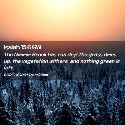 Picture 02 - Isaiah 15:6 GW - The Nimrim Brook has run dry! The grass dries up, - Bible Verse Picture