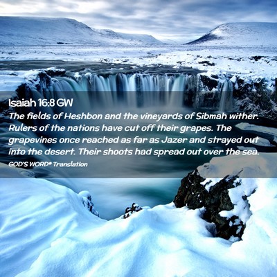 Picture 02 - Isaiah 16:8 GW - The fields of Heshbon and the vineyards of Sibmah - Bible Verse Picture
