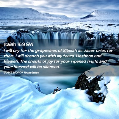 Picture 02 - Isaiah 16:9 GW - I will cry for the grapevines of Sibmah as Jazer - Bible Verse Picture