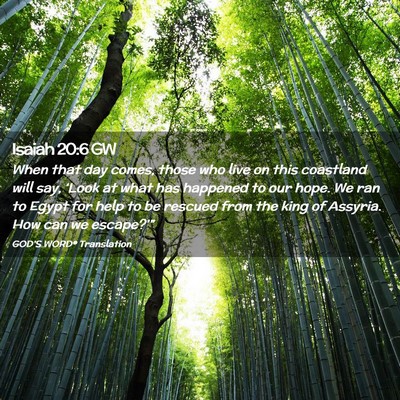 Picture 02 - Isaiah 20:6 GW - When that day comes, those who live on this - Bible Verse Picture