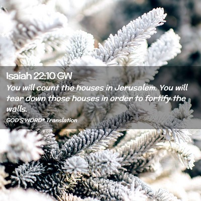 Picture 02 - Isaiah 22:10 GW - You will count the houses in Jerusalem. You will - Bible Verse Picture