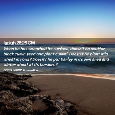 Picture 02 - Isaiah 28:25 GW - When he has smoothed its surface, doesn’t he - Bible Verse Picture
