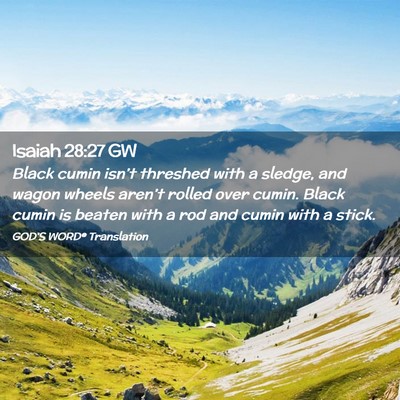 Picture 02 - Isaiah 28:27 GW - Black cumin isn’t threshed with a sledge, and - Bible Verse Picture