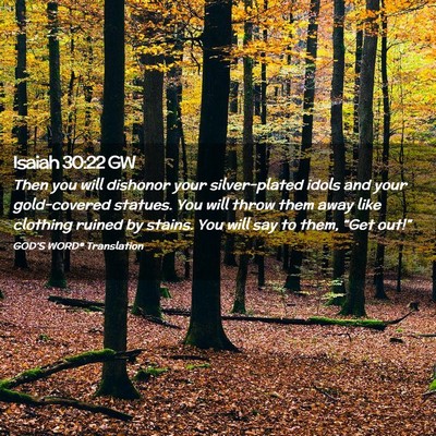 Picture 02 - Isaiah 30:22 GW - Then you will dishonor your silver-plated idols - Bible Verse Picture