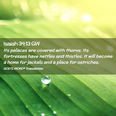 Picture 02 - Isaiah 34:13 GW - Its palaces are covered with thorns. Its - Bible Verse Picture