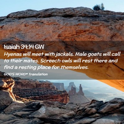 Picture 02 - Isaiah 34:14 GW - Hyenas will meet with jackals. Male goats will - Bible Verse Picture