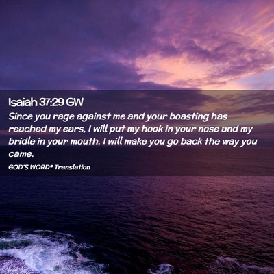 Picture 02 - Isaiah 37:29 GW - Since you rage against me and your boasting has - Bible Verse Picture