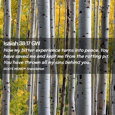 Picture 02 - Isaiah 38:17 GW - Now my bitter experience turns into peace. You - Bible Verse Picture