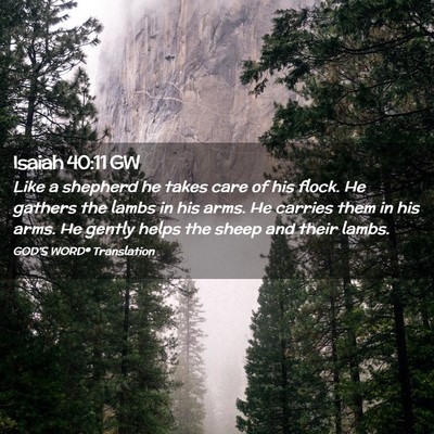 Picture 02 - Isaiah 40:11 GW - Like a shepherd he takes care of his flock. He - Bible Verse Picture