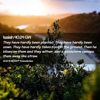 Picture 02 - Isaiah 40:24 GW - They have hardly been planted. They have hardly - Bible Verse Picture