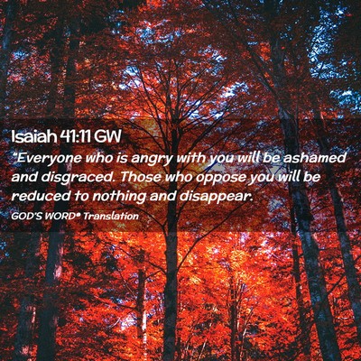 Picture 02 - Isaiah 41:11 GW - “Everyone who is angry with you will be ashamed - Bible Verse Picture