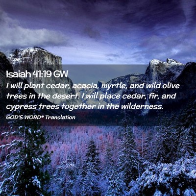 Picture 02 - Isaiah 41:19 GW - I will plant cedar, acacia, myrtle, and wild - Bible Verse Picture