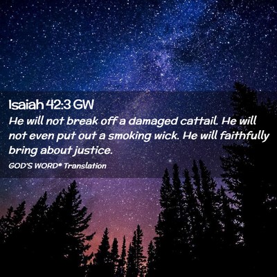 Picture 02 - Isaiah 42:3 GW - He will not break off a damaged cattail. He will - Bible Verse Picture