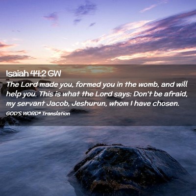 Picture 02 - Isaiah 44:2 GW - The Lord made you, formed you in the womb, and - Bible Verse Picture