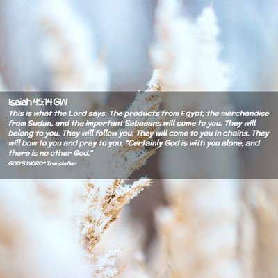 Picture 02 - Isaiah 45:14 GW - This is what the Lord says: The products from - Bible Verse Picture