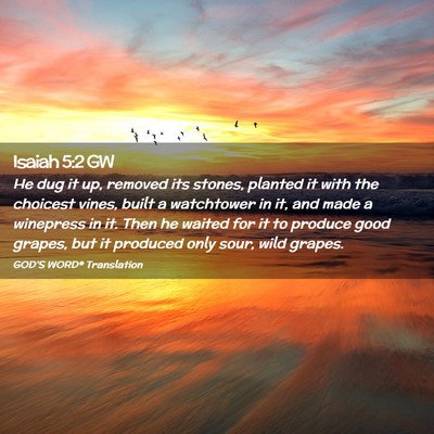 Picture 02 - Isaiah 5:2 GW - He dug it up, removed its stones, planted it with - Bible Verse Picture